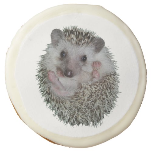 Hedgehog Sugar Cookie