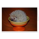 Hedgehog Sundae (Front Horizontal)