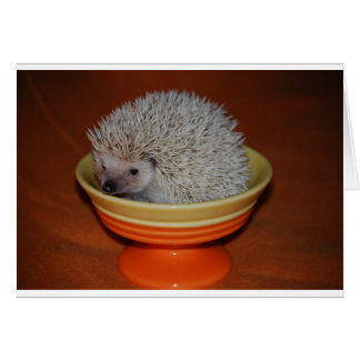 Hedgehog Sundae Cards