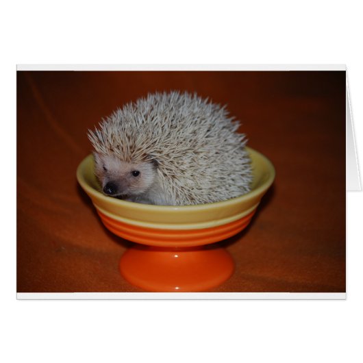 Hedgehog Sundae Cards (Front Horizontal)