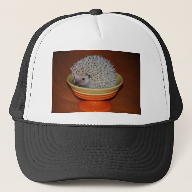 Hedgehog Sundae Trucker Hat (Front)