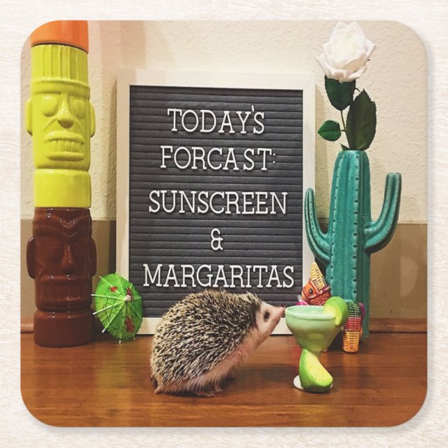 Hedgehog Sunscreen and Margaritas Square Paper Coaster (Front)