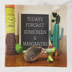 Hedgehog Sunscreen and Margaritas Trinket Tray