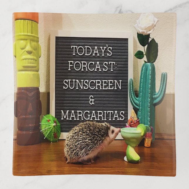Hedgehog Sunscreen and Margaritas Trinket Tray (Front)