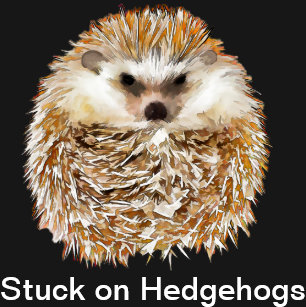 Image result for zazzle hedgehog shirt stuck on