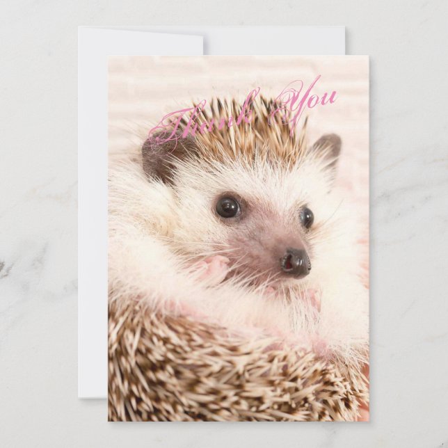 Hedgehog Thank You Card (Front)