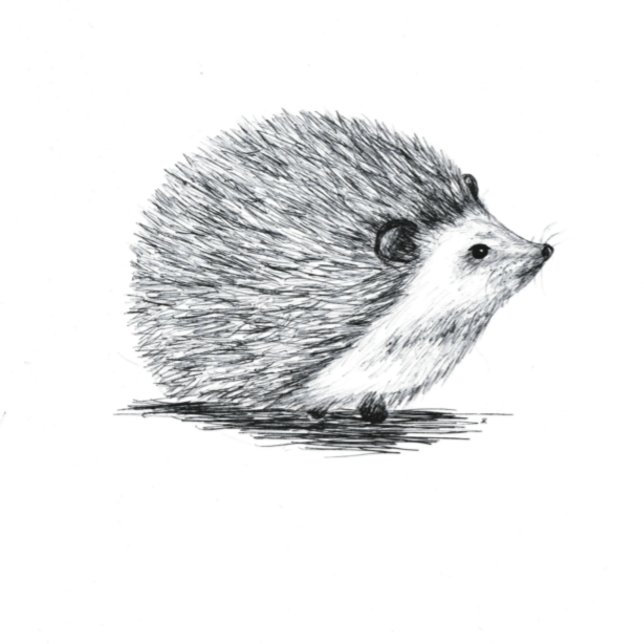 Hedgehog Thank You Card (Creator Uploaded)