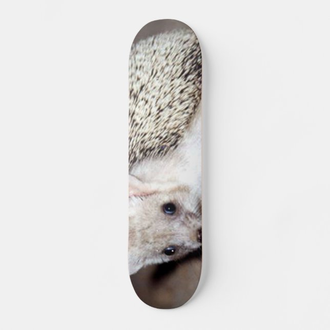 Hedgehog - The Spiny Mammal Skateboard Deck (Front)
