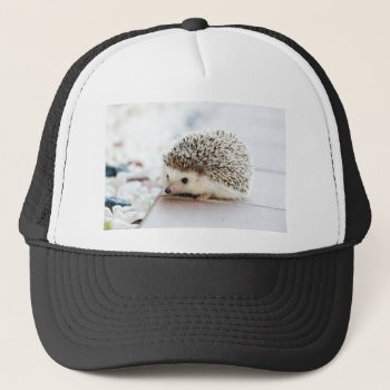 Hedgehog Trucker Hat by The_Everything_Store at Zazzle