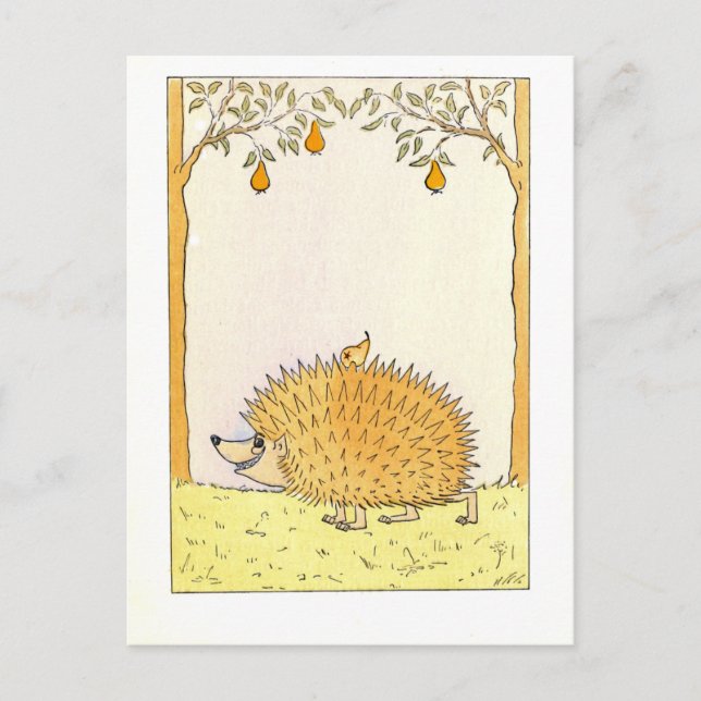 "Hedgehog - Vintage Illustration Postcard (Front)