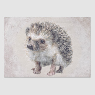 Hedgehog Watercolor Tissue Paper