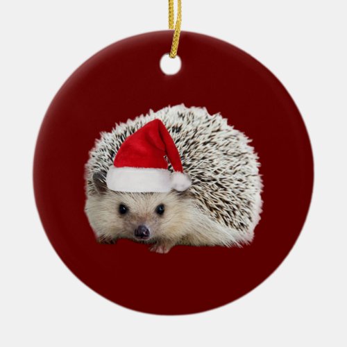 Hedgehog With Hat Lights Christmas Ceramic Ornament