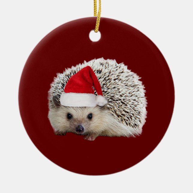 Hedgehog With Hat Scaft Christmas Ceramic Ornament (Front)