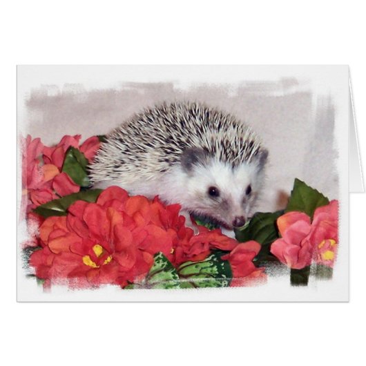 Hedgehog With Orange Flowers Cards (Front Horizontal)