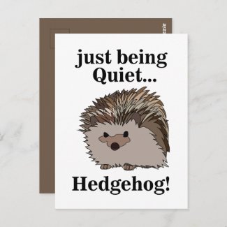 Hedgehog Woodland Animal Postcard