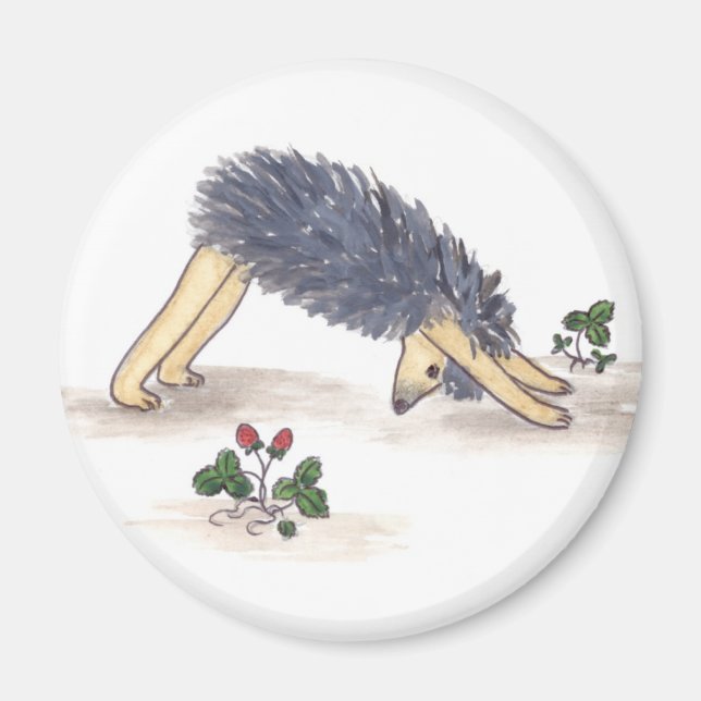 Hedgehog Yoga Magnet (Front)