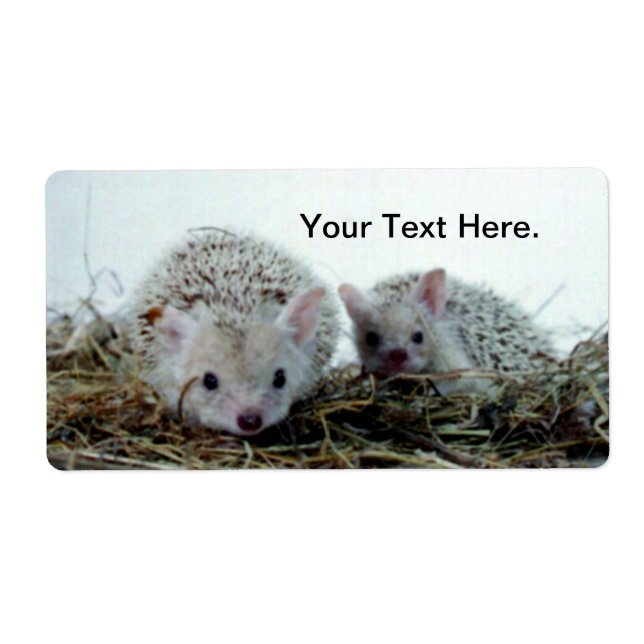 Hedgehogs as Pets Label (Front)