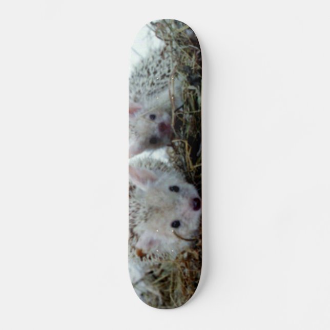 Hedgehogs as Pets Skateboard Deck (Front)
