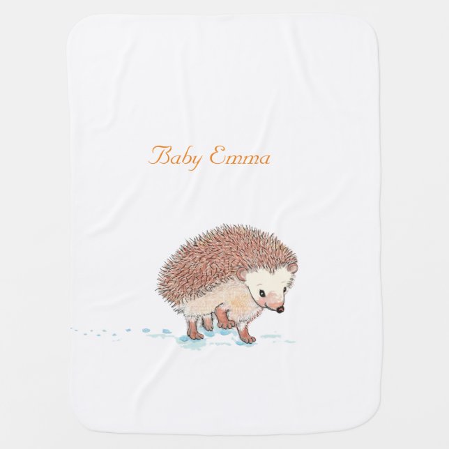 Hedgehog's Big Adventure  Baby Blanket (Front)