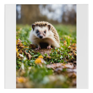 Hedgehogs for the Planet – Environmental Protest Acrylic Print