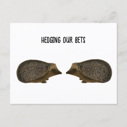Hedgehogs getting married _ Funny Hedgehog wedding Postcard