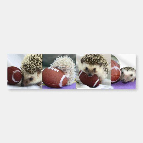 Hedgehogs Playing Football Bumper Sticker