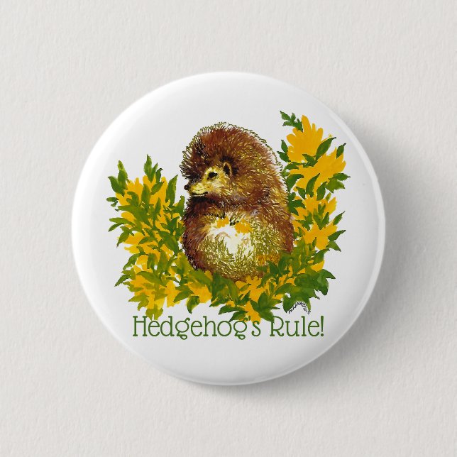 Hedgehog's Rule Fancy Cute Lapel Shirt Jacket Button (Front)