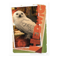 Hedwig 1 postcard