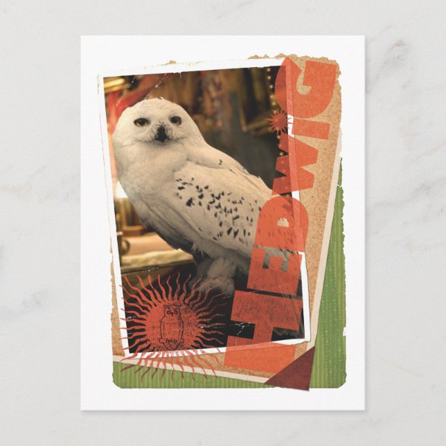 Hedwig 1 postcard (Front)