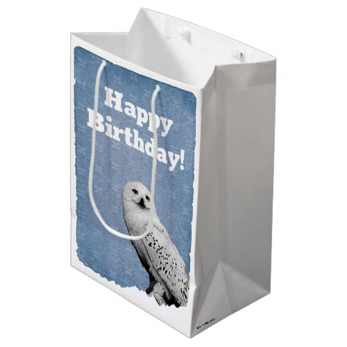 Hedwig 2 medium gift bag