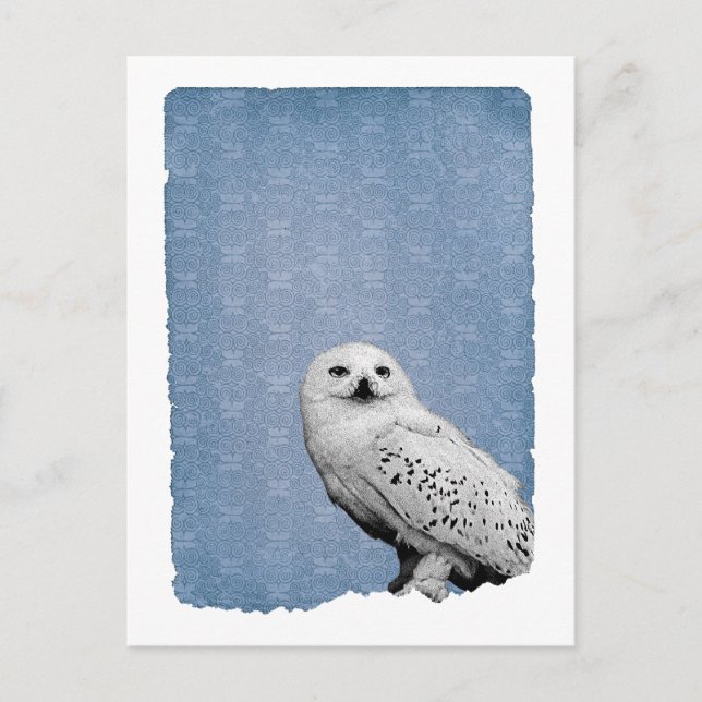 Hedwig 2 postcard (Front)