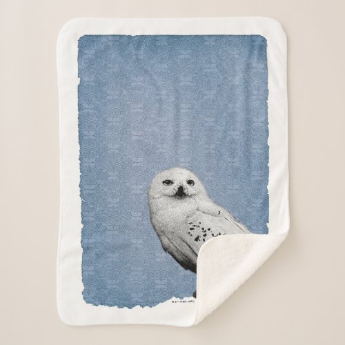 Hedwig 2 sherpa blanket