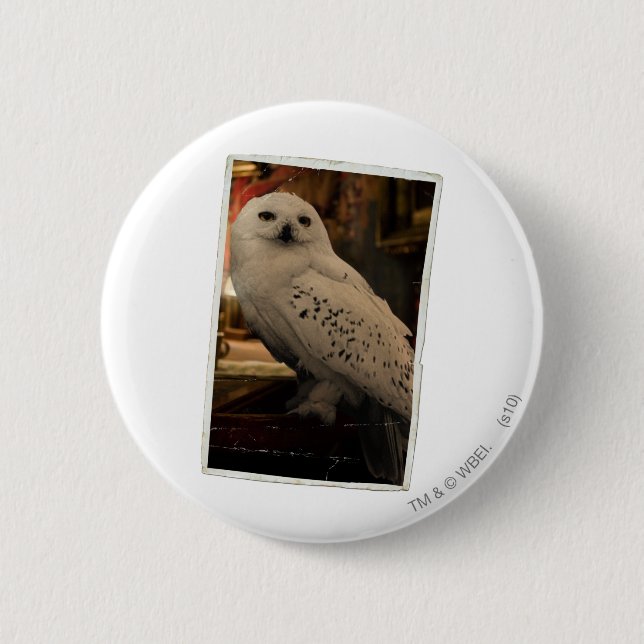 Hedwig 3 button (Front)