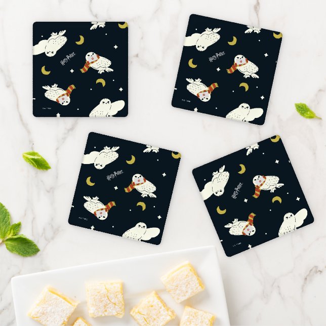 Hedwig Nighttime Moonlight Pattern Coaster Set (In Situ)