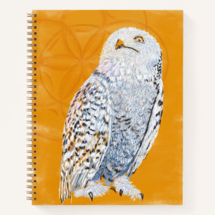 Hedwig Notebook