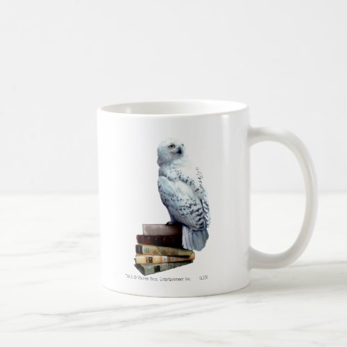 Hedwig on books coffee mug