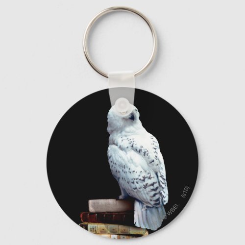 Hedwig on books keychain