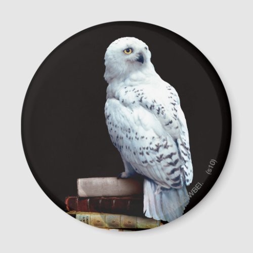 Hedwig on books magnet