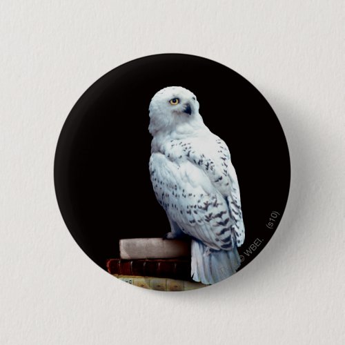 Hedwig on books pinback button