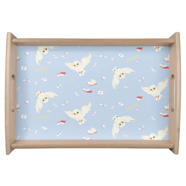 Hedwig Owl Post Letters and Books Pattern Serving Tray (Front)