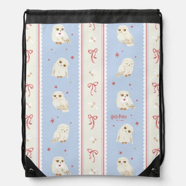 Hedwig Owl Post Stripe Pattern Drawstring Bag (Front)