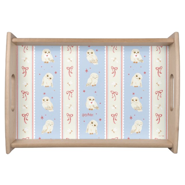 Hedwig Owl Post Stripe Pattern Serving Tray (Front)