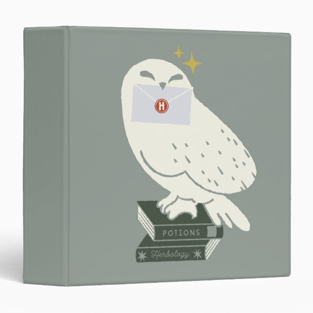 Hedwig With Letter Whimsical Drawing 3 Ring Binder (Front/Spine)