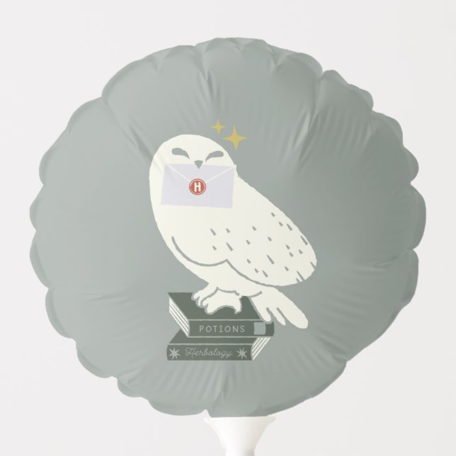 Hedwig With Letter Whimsical Drawing Balloon (Front)