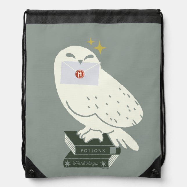 Hedwig With Letter Whimsical Drawing Drawstring Bag (Front)