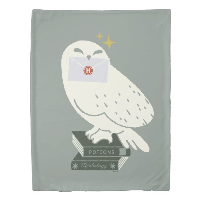 Hedwig With Letter Whimsical Drawing Duvet Cover (Front)