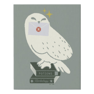 Hedwig With Letter Whimsical Drawing Faux Canvas Print