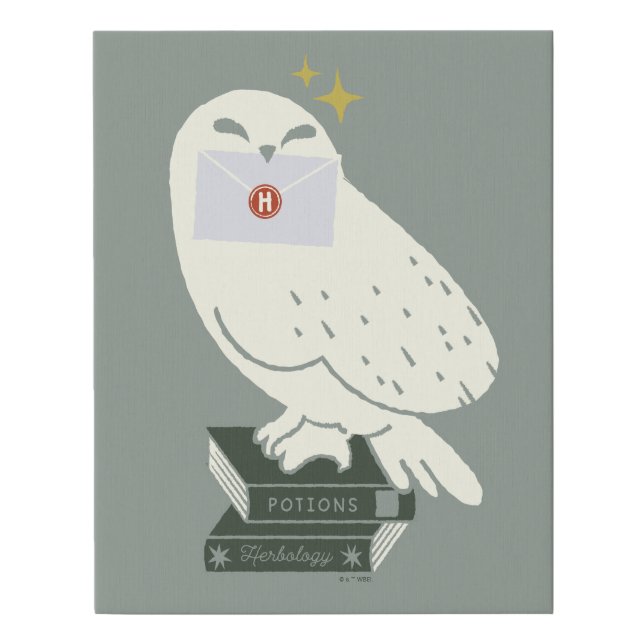 Hedwig With Letter Whimsical Drawing Faux Canvas Print (Front)