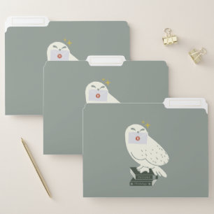 Hedwig With Letter Whimsical Drawing File Folder