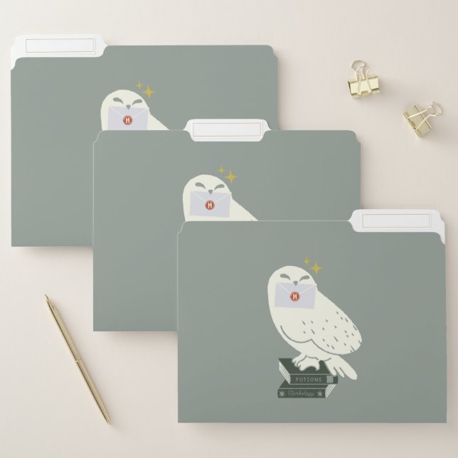 Hedwig With Letter Whimsical Drawing File Folder (Set)